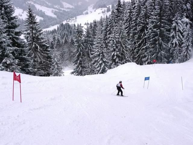 P1000753.JPG