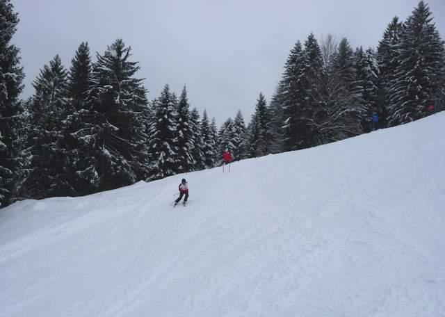 P1000758.JPG