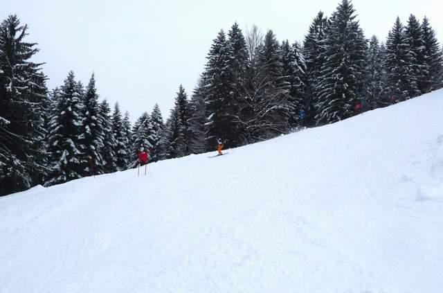 P1000766.JPG