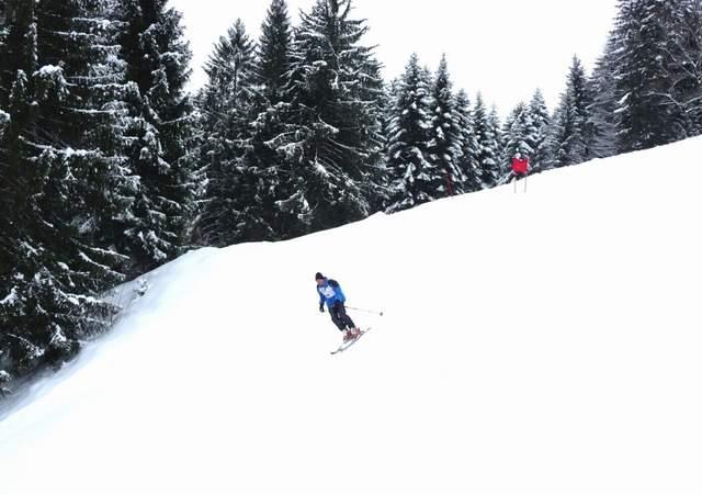 P1000768.JPG