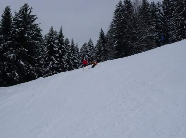P1000776.JPG