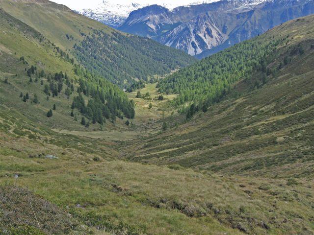 IMG_041.JPG