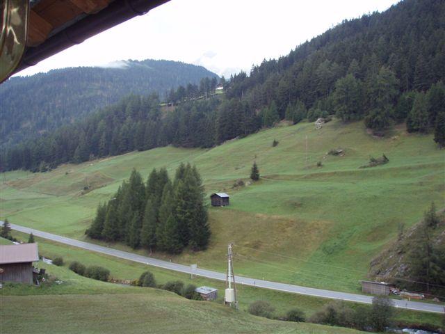 P9080444.JPG