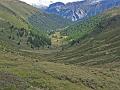 IMG_041