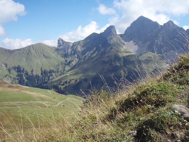 P9190198.JPG