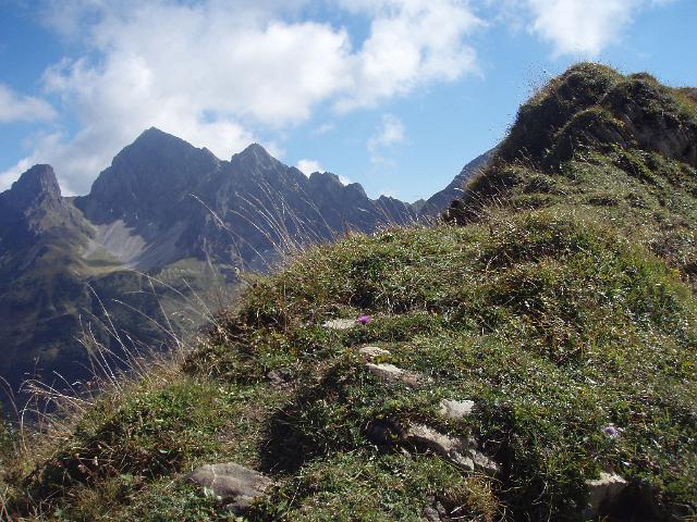 P9190199.JPG