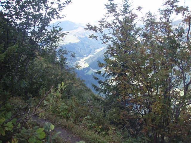 P9190211.JPG